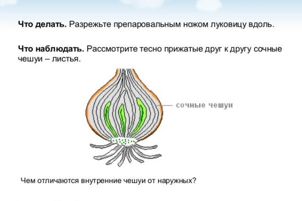 Darknet как войти