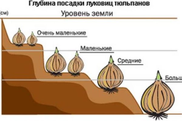 2krn cc кракен