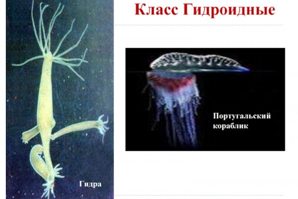 Замена hydra