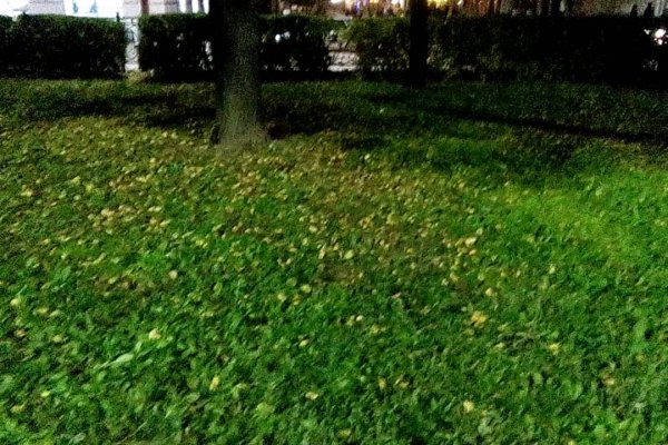 Как восстановить кракен