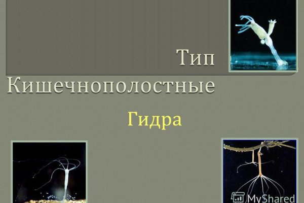 Что за маркетплейс кракен