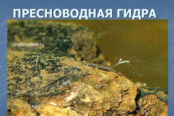 Кракен маркетплейс купить порошок