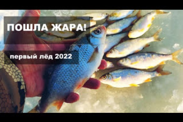 Kraken в россии